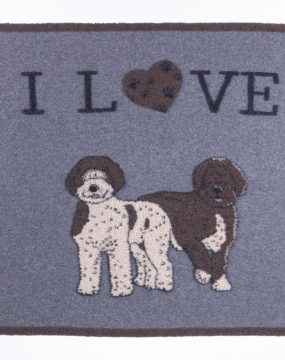 Lagotto-romagnolo
